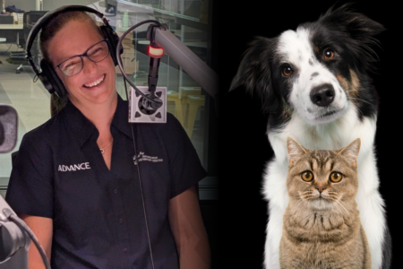 6PR’s local vet is back to assist our listeners with their beloved pets