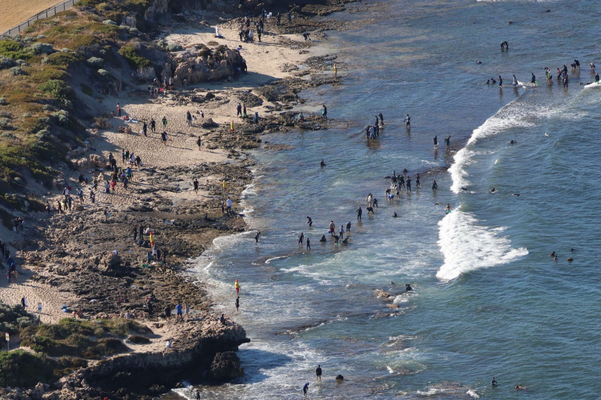 Article image for ‘Putting yourself at peril’: SLSWA urges punters to prioritise their safety during Abalone season