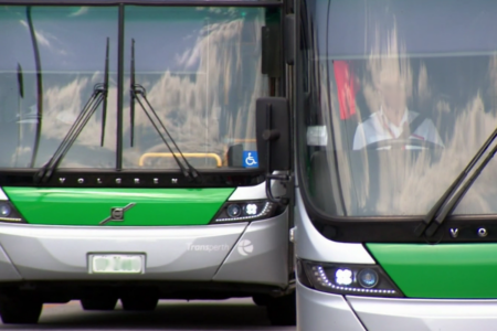 Questions raised about safety protocols on Transperth buses following assault in broad daylight